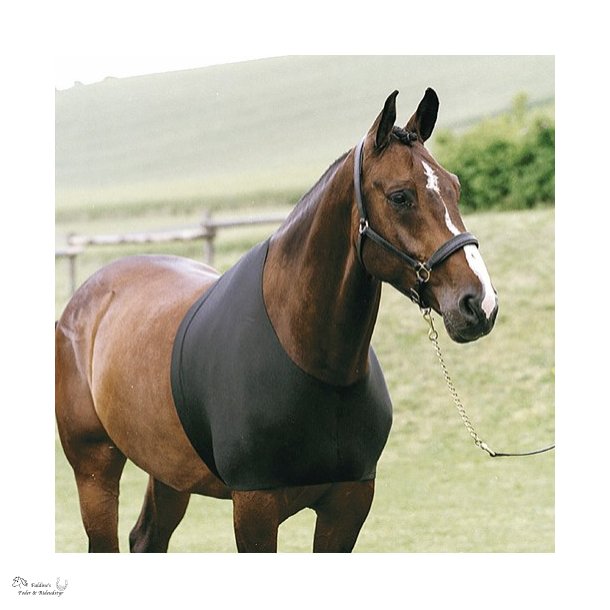 Undertr�je til hest