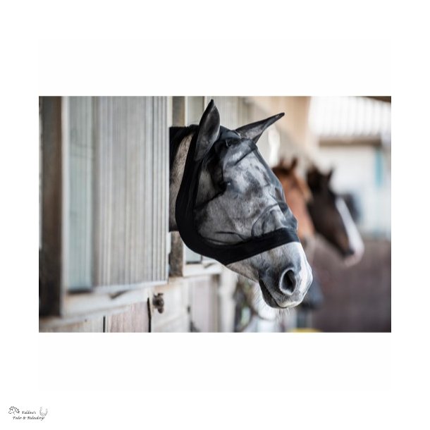 Fluemaske med �rer