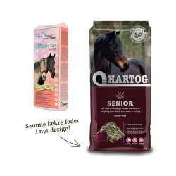 Lucerne Senior, Hartog