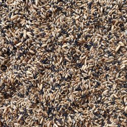 Kanarie Fuglefr - Lux, 15 kg