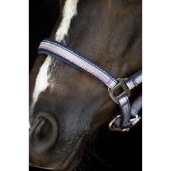 HG Mascha Grime, Aster Purple