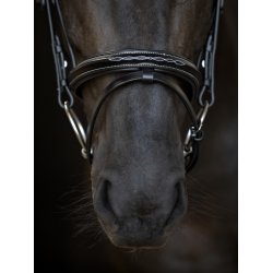 CATAGO Torina Trense