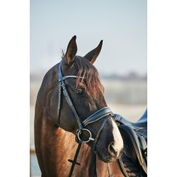 HG Cryll 23.2 Crystal Trense