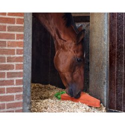 Hestelegetj XL-Gulerod