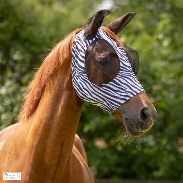 QHP Fluemaske, Zebra