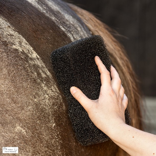 QHP Equi Super Shiner