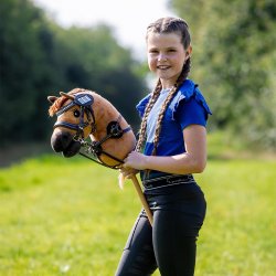 QHP K�phest, Chestnut