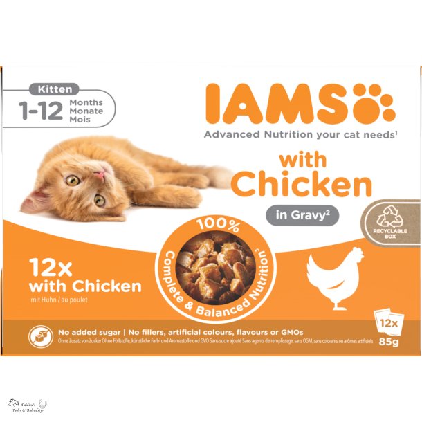 Iams Delight Cat, Kitten, V�dfoder