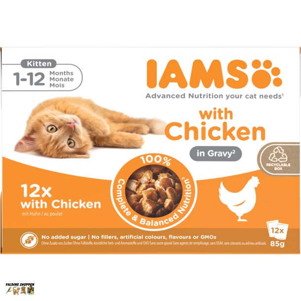 Iams Delight Cat, Kitten, Vdfoder