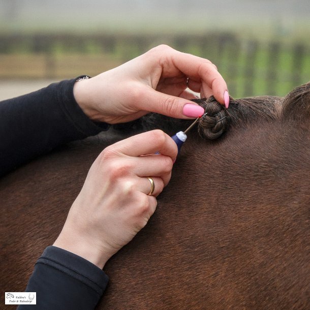 Opspr�tter til manelastikker