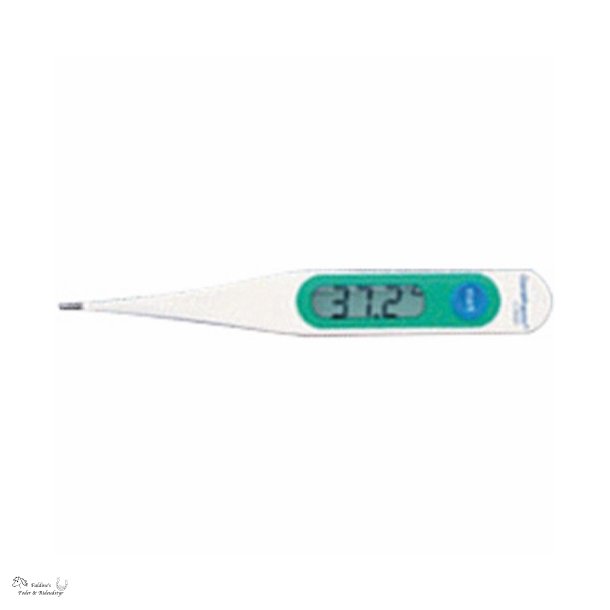 HG Digital Thermometer