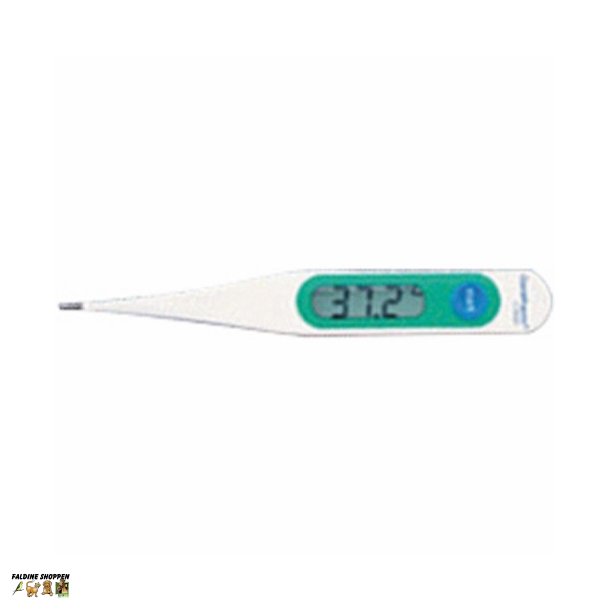 HG Digital Thermometer