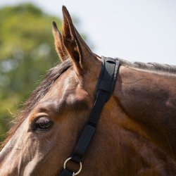 QHP Mundkurv, Easy Breathe