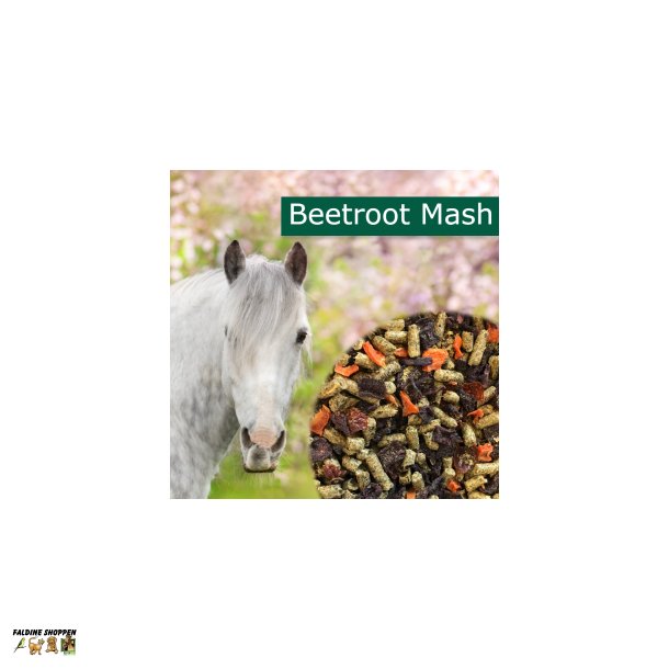 HorsePro Beetroot Mash, 10 kg