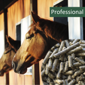 HorsePro Professional, 20 kg