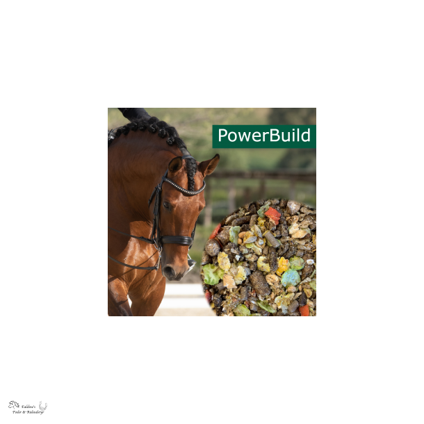 HorsePro Powerbuild, 20 kg