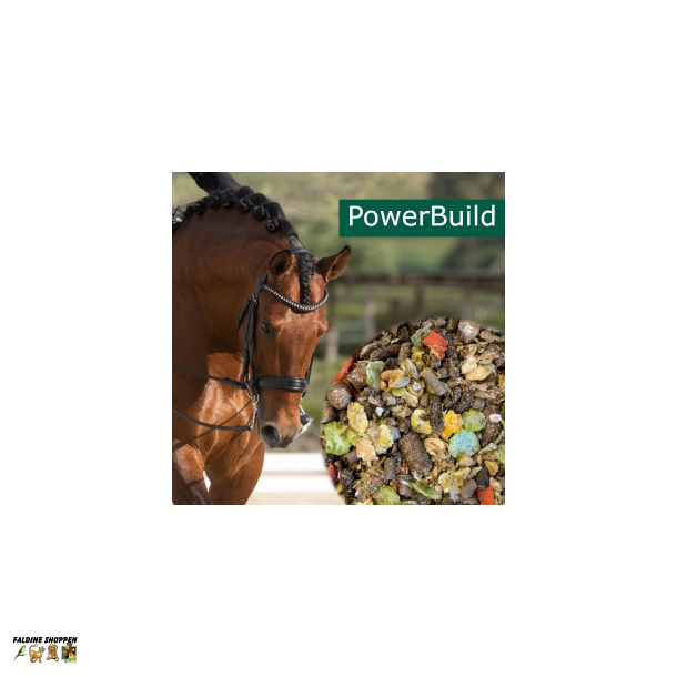 HorsePro Powerbuild, 20 kg