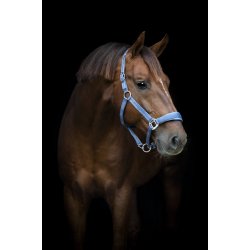 HG Diya 2,0 Grime, Dutch Blue