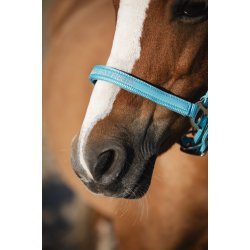 HG Malva Grime, Aruba Blue