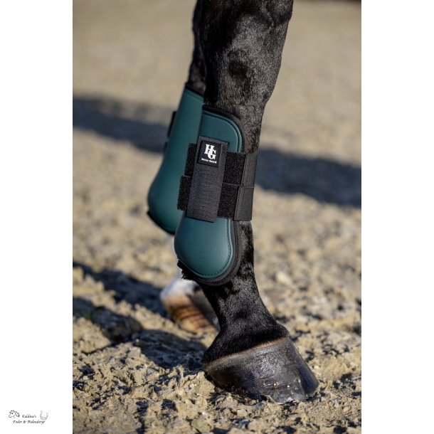 HG Timian Springgamache, Gr�n