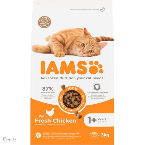 Iams Kat Killing og Junior, 3 kg