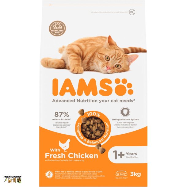 Iams Kat Killing og Junior, 3 kg