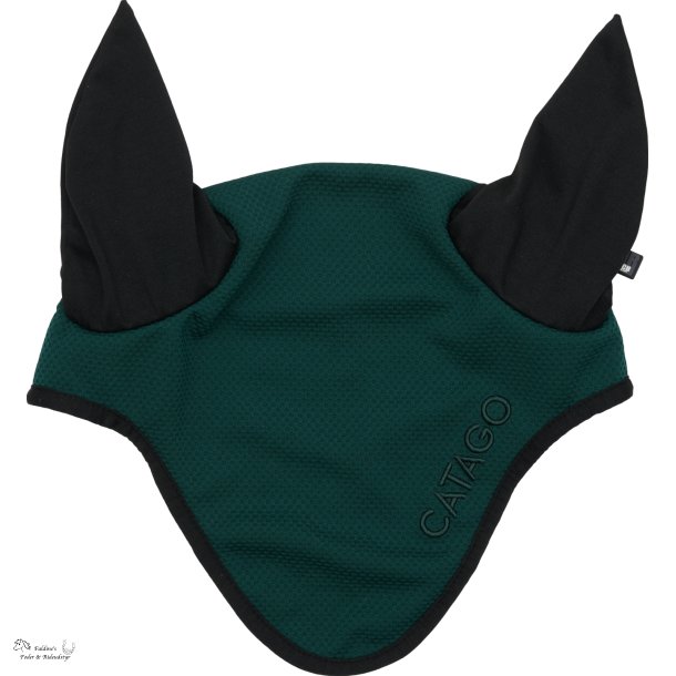 CATAGO FIR-Tech Hut, Ponderosa Pine