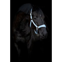 HG Diya Grime, Lysebl