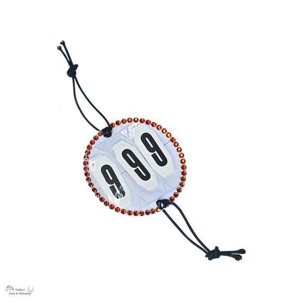 St�vnenummer med guld krystalsten