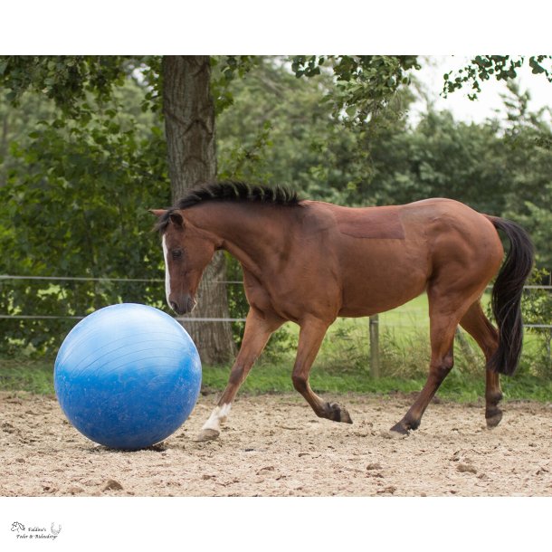 Heste legebold, � 80-100 cm