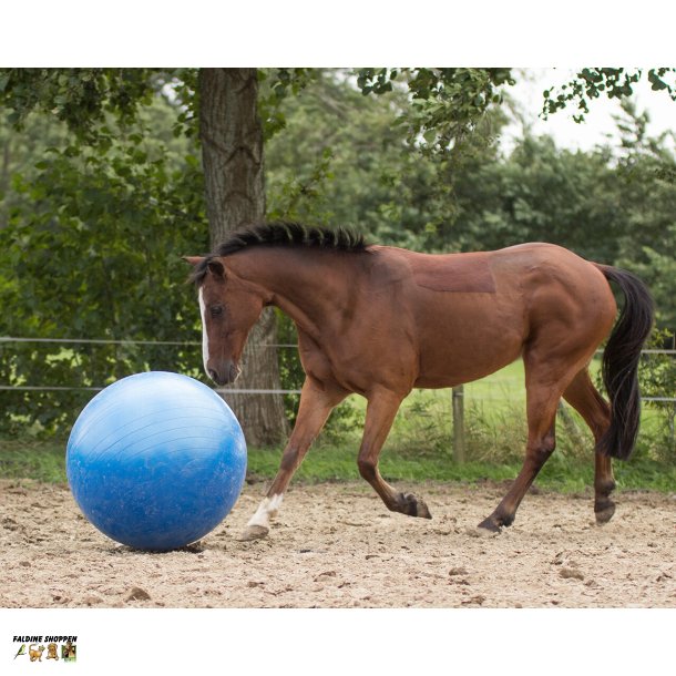 Heste legebold,  80-100 cm
