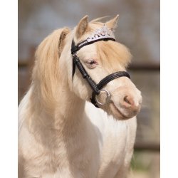 Krone til pandebnd fra QHP, Slv