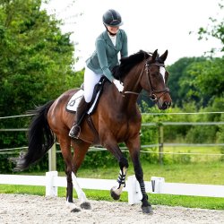 QHP Nov�n St�vnejakke, Palm Green