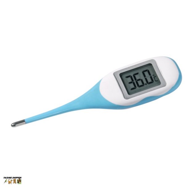 Digital Thermometer