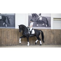 LeMieux Loire Underlag, DR, Hvid, Str L