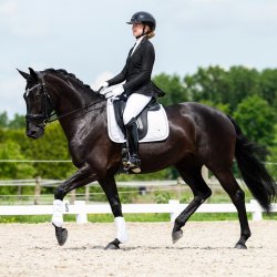 QHP Kynlee St�vnejakke med glitter