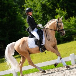 QHP Kynlee Junior St�vnejakke med glitter