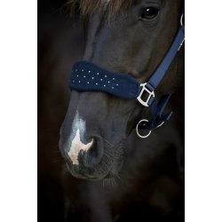 HG Anabel Grime, Navy