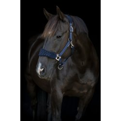 HG Anabel Grime, Navy