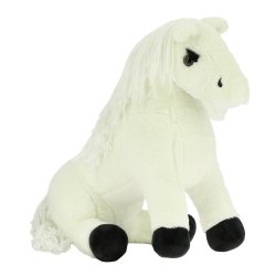 Mini Pony - Filou, Pony Academi