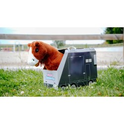 Mini Pony - Jumpy, Pony Academi