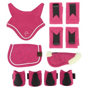 Pony Academy S�t til Mini pony