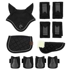 Pony Academy S�t til Mini Pony, med glitter