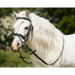 Trense til sm ponyer, QHP Beli