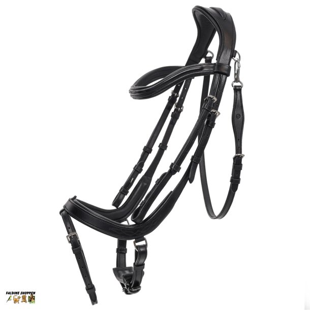 QHP Salerno Trense, Sort