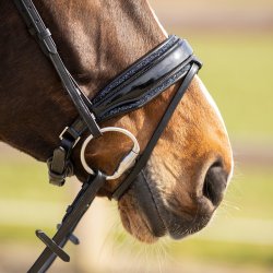 Nsebnds-polstring til Skye Trense, Navy