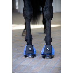 HG Tamsin Klokker, Kongebl