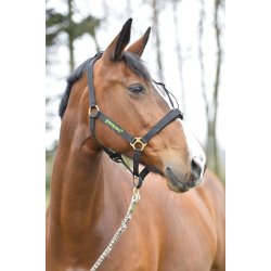 Greenguard Grime til mundkurven