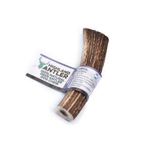 Antler Medium - Hjortegevir