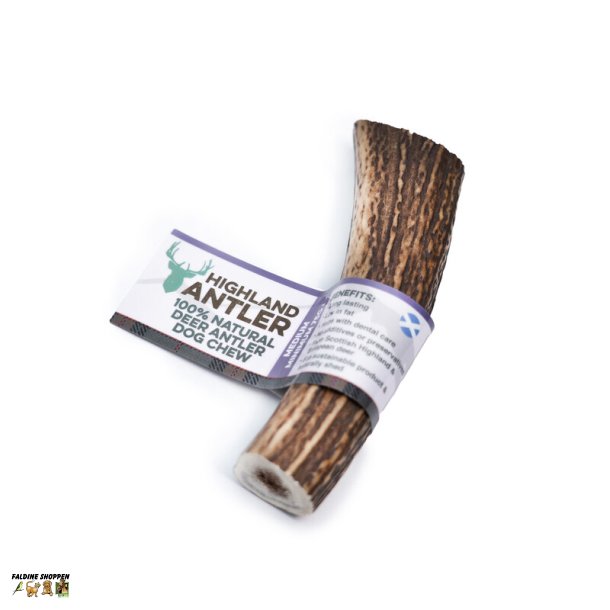 Antler Medium - Hjortegevir